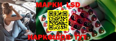 индика Малгобек