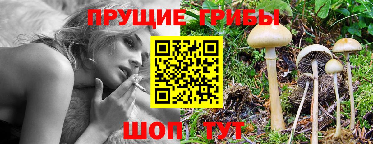 Алатырь  Псилоцибиновые грибы мухоморы  Вход с VPN 