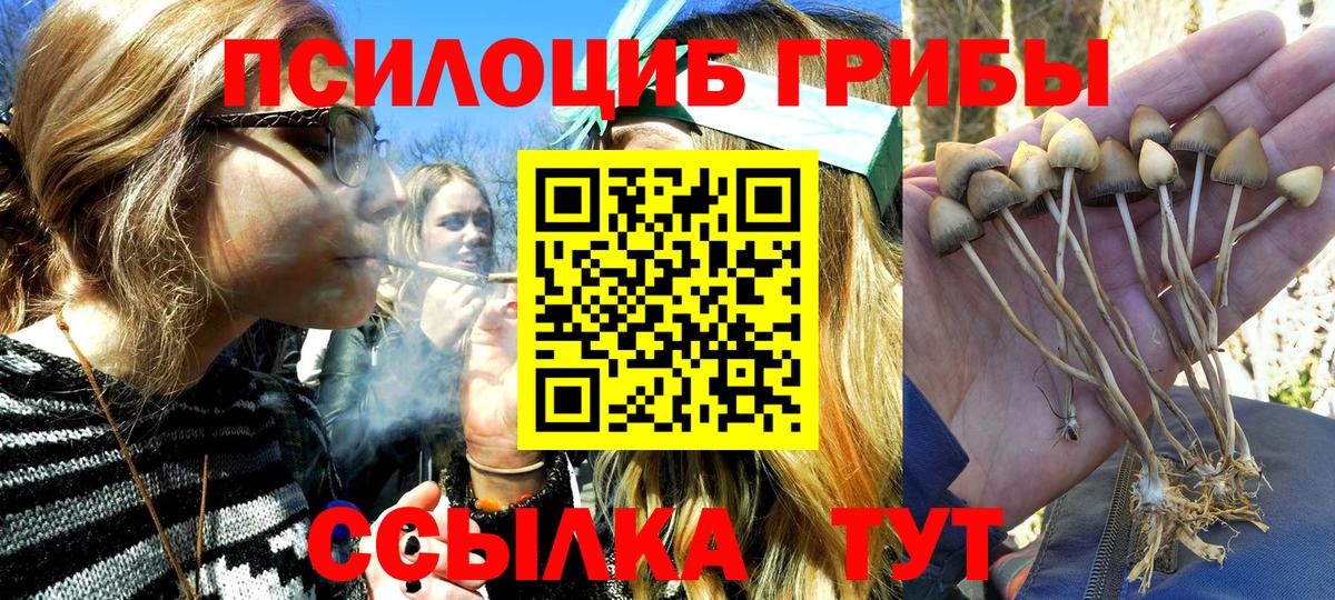 Псилоцибиновые грибы прущие грибы Алатырь
