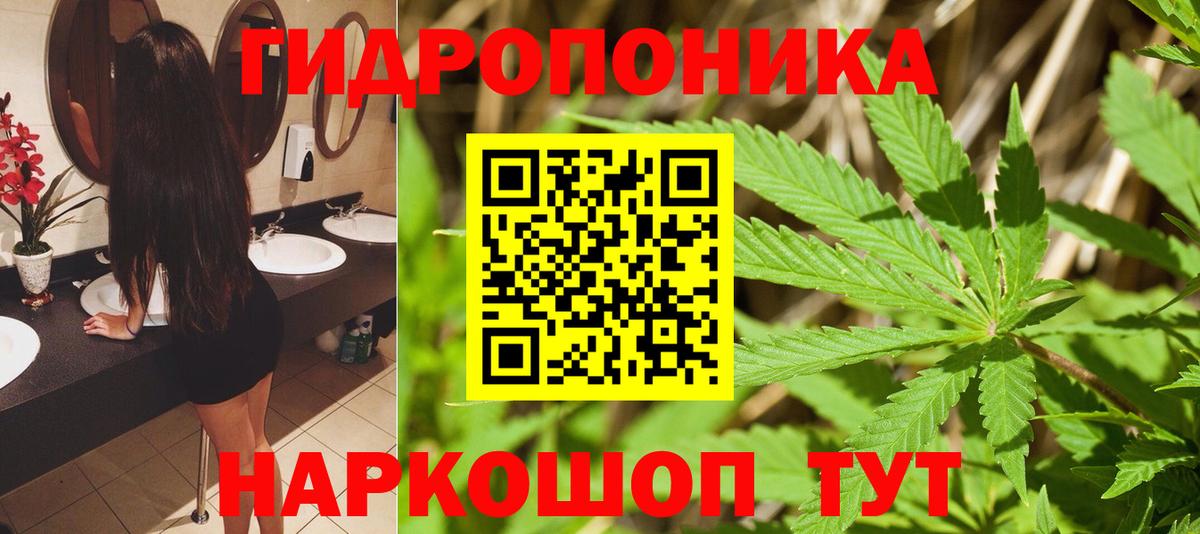 МАРИХУАНА тримм  Вход с VPN  Каннабис Bruce Banner  Алатырь  Шишки марихуана LSD WEED 